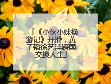 《小伙小妹换游记》开播，黄子韬徐艺洋跨国交换人生