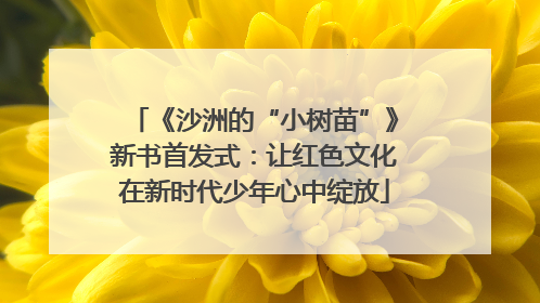《沙洲的“小树苗”》新书首发式：让红色文化在新时代少年心中绽放