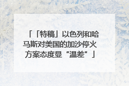 「特稿」以色列和哈马斯对美国的加沙停火方案态度显“温差”