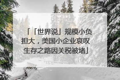 「世界说」规模小负担大，美国小企业哀叹生存之路因关税被堵