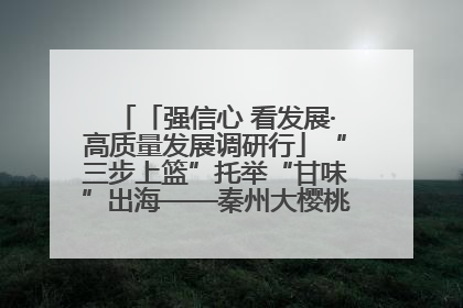 「强信心 看发展·高质量发展调研行」“三步上篮”托举“甘味”出海——秦州大樱桃高质量发展动作分解