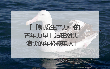 「新质生产力中的青年力量」站在潮头浪尖的年轻核电人