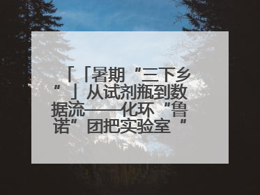 「暑期“三下乡”」从试剂瓶到数据流——化环“鲁诺”团把实验室“搬”回家乡，点亮桑梓求知路