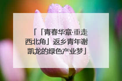 「青春华章·重走西北角」返乡青年谢凯龙的绿色产业梦