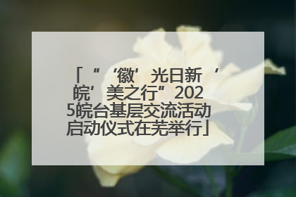 “‘徽’光日新‘皖’美之行”2025皖台基层交流活动启动仪式在芜举行
