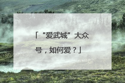“爱武城”大众号，如何爱？