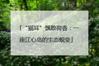 “猫耳”飘散荷香：一座江心岛的生态蜕变