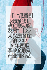 “瓜香引凤聚商机 政企联动促发展”北京大兴庞各庄镇 2025 年西瓜季政企联动产业推介活动圆满举行