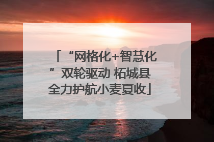 “网格化+智慧化”双轮驱动 柘城县全力护航小麦夏收