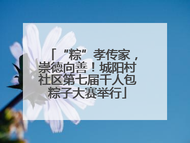 “粽”孝传家，崇德向善！城阳村社区第七届千人包粽子大赛举行