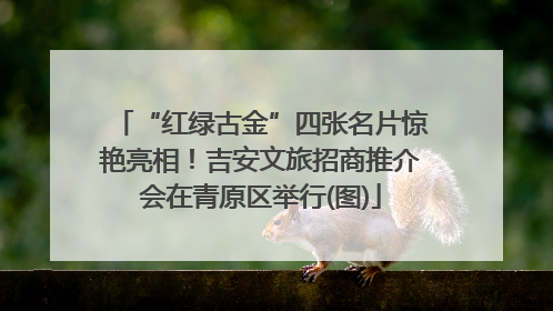 “红绿古金”四张名片惊艳亮相！吉安文旅招商推介会在青原区举行(图)