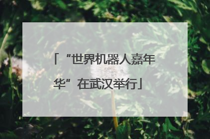 “世界机器人嘉年华”在武汉举行