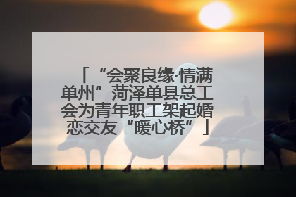 “会聚良缘·情满单州”菏泽单县总工会为青年职工架起婚恋交友“暖心桥”