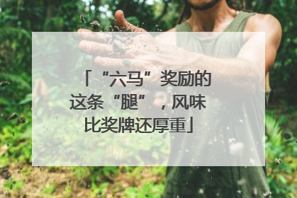 “六马”奖励的这条“腿”，风味比奖牌还厚重