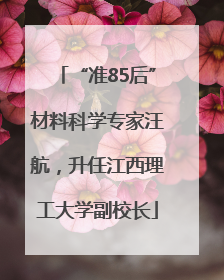 “准85后”材料科学专家汪航，升任江西理工大学副校长