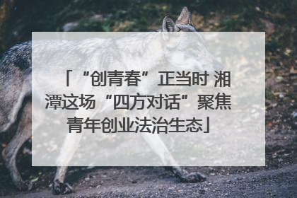 “创青春”正当时 湘潭这场“四方对话”聚焦青年创业法治生态