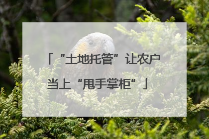 “土地托管”让农户当上“甩手掌柜”