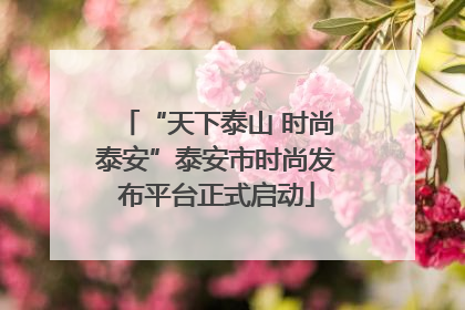 “天下泰山 时尚泰安”泰安市时尚发布平台正式启动