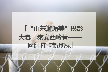 “山东邂逅美”摄影大赛｜泰安西岭巷——网红打卡新地标