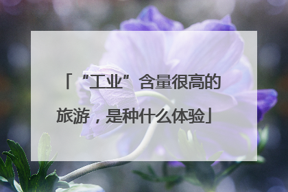 “工业”含量很高的旅游，是种什么体验