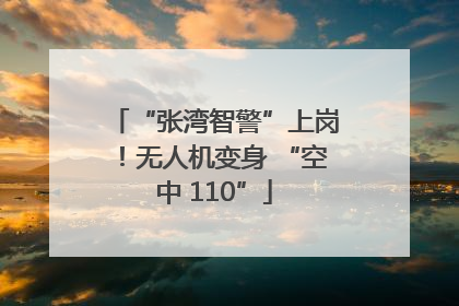 “张湾智警”上岗！无人机变身 “空中 110”