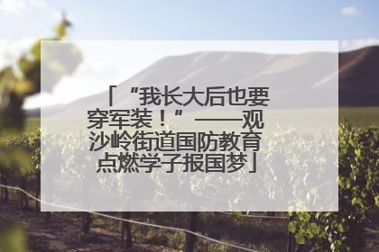 “我长大后也要穿军装！”——观沙岭街道国防教育点燃学子报国梦