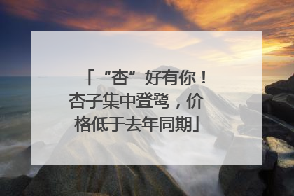 “杏”好有你！杏子集中登鹭，价格低于去年同期