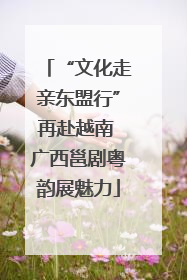 “文化走亲东盟行”再赴越南 广西邕剧粤韵展魅力