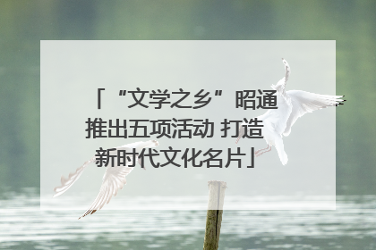 “文学之乡”昭通推出五项活动 打造新时代文化名片