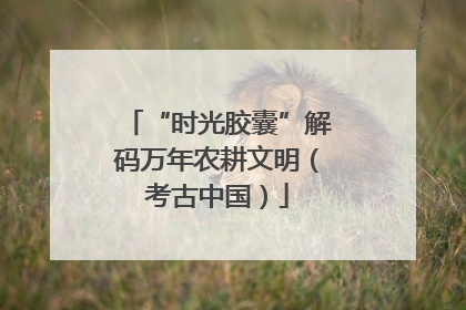 “时光胶囊”解码万年农耕文明（考古中国）
