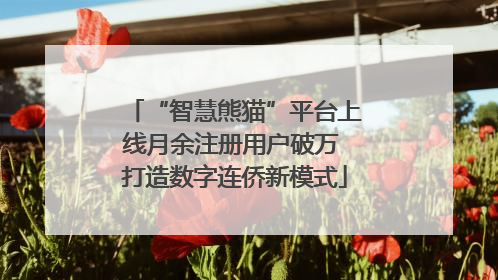 “智慧熊猫”平台上线月余注册用户破万 打造数字连侨新模式