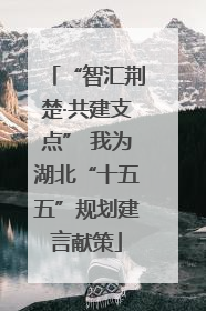 “智汇荆楚·共建支点” 我为湖北“十五五”规划建言献策