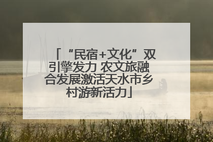 “民宿+文化”双引擎发力 农文旅融合发展激活天水市乡村游新活力
