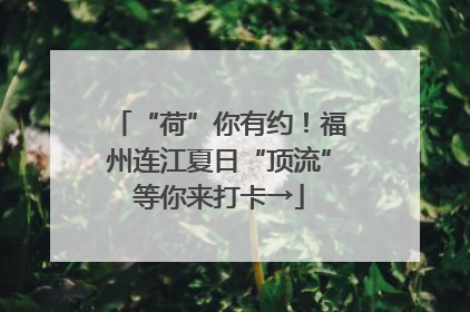 “荷”你有约！福州连江夏日“顶流”等你来打卡→
