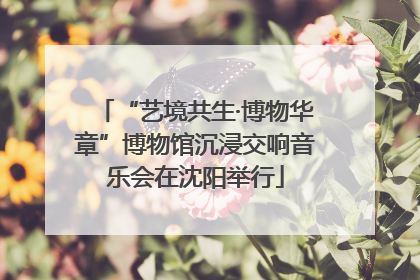 “艺境共生·博物华章”博物馆沉浸交响音乐会在沈阳举行