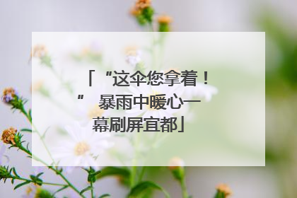 “这伞您拿着！” 暴雨中暖心一幕刷屏宜都