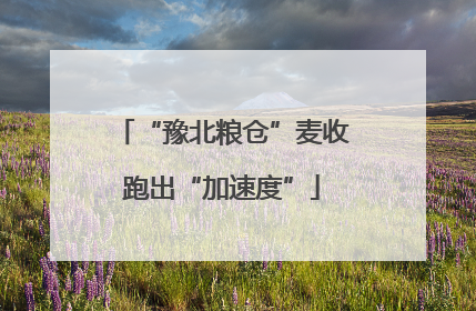 “豫北粮仓”麦收跑出“加速度”