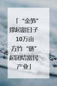 “金笋”撑起甜日子 10万亩方竹“链”起团结富民产业