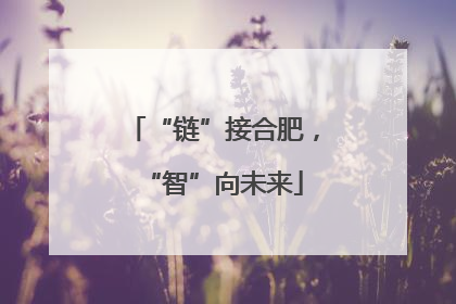 “链”接合肥，“智”向未来