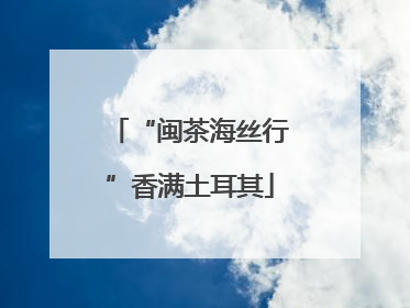 “闽茶海丝行”香满土耳其