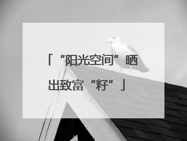 “阳光空间”晒出致富“籽”