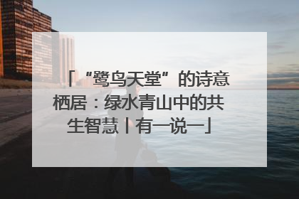 “鹭鸟天堂”的诗意栖居：绿水青山中的共生智慧丨有一说一