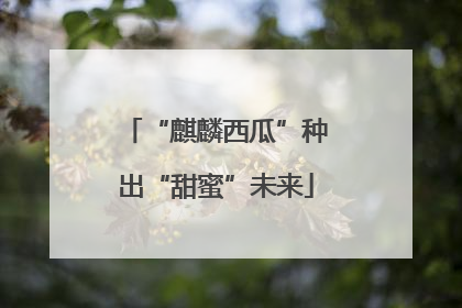 “麒麟西瓜”种出“甜蜜”未来