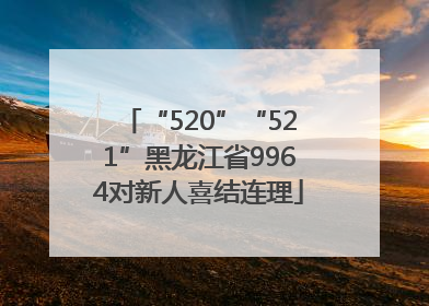 “520”“521”黑龙江省9964对新人喜结连理