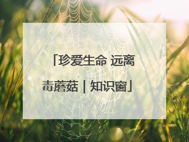 珍爱生命 远离毒蘑菇｜知识窗
