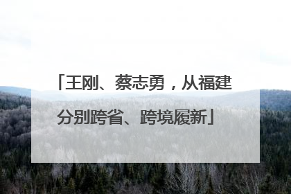 王刚、蔡志勇，从福建分别跨省、跨境履新