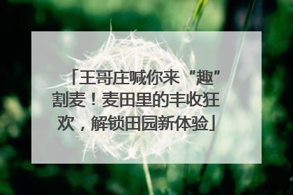 王哥庄喊你来“趣”割麦！麦田里的丰收狂欢，解锁田园新体验