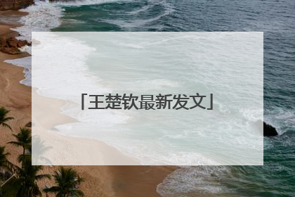 王楚钦最新发文