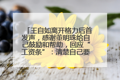 王自如离开格力后首发声，感谢董明珠给自己鼓励和帮助，回应“工资条”：清楚自己要什么，工资条不重要