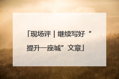 现场评｜继续写好“提升一座城”文章